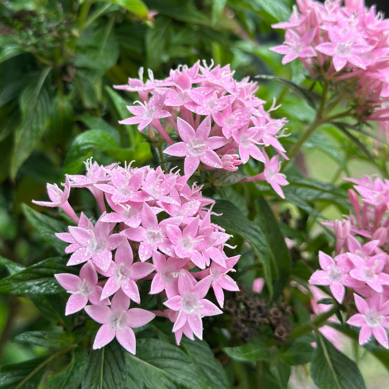 Pousada Lagoa Do Rosa 프라이아도로사 외부 사진